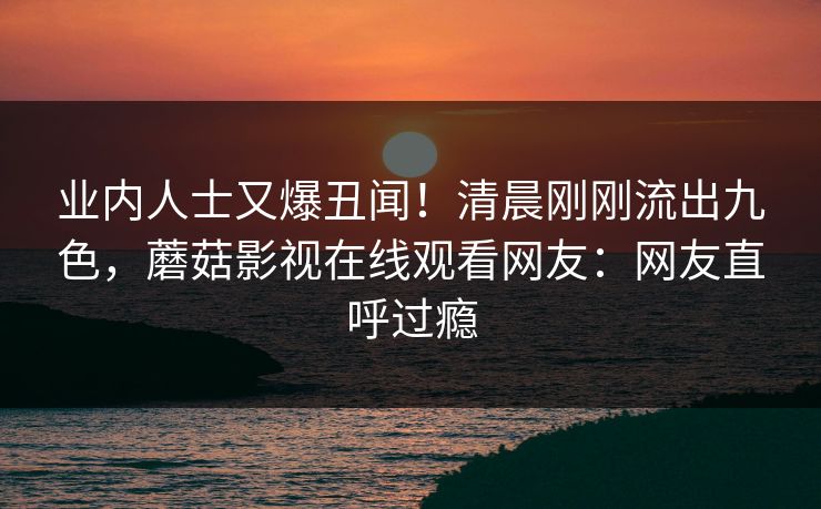 业内人士又爆丑闻！清晨刚刚流出九色，蘑菇影视在线观看网友：网友直呼过瘾