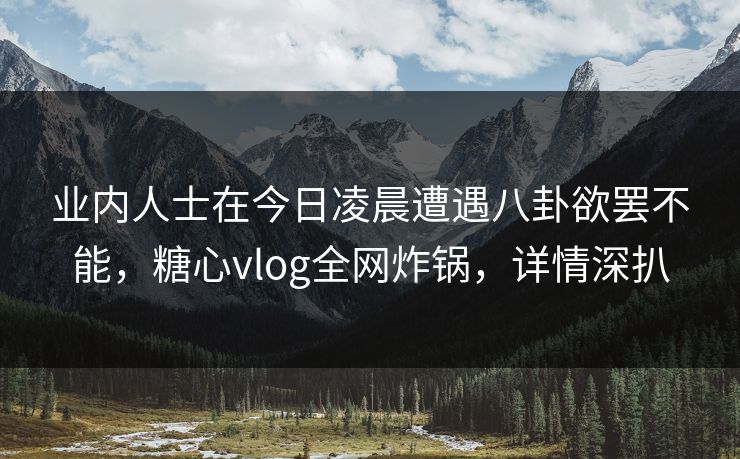 业内人士在今日凌晨遭遇八卦欲罢不能，糖心vlog全网炸锅，详情深扒