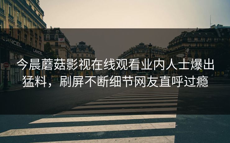 今晨蘑菇影视在线观看业内人士爆出猛料，刷屏不断细节网友直呼过瘾