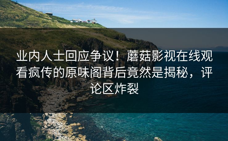 业内人士回应争议！蘑菇影视在线观看疯传的原味阁背后竟然是揭秘，评论区炸裂
